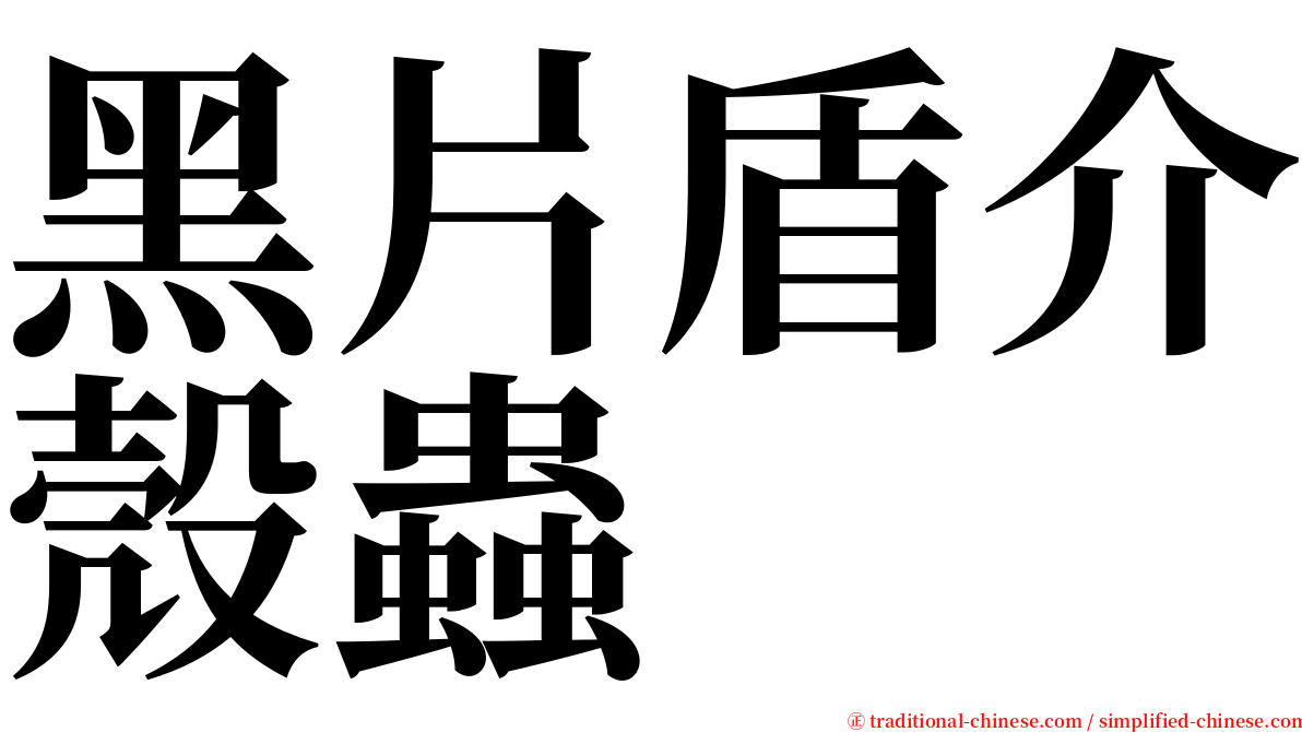 黑片盾介殼蟲 serif font