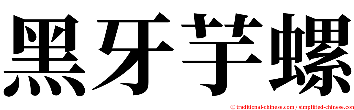 黑牙芋螺 serif font