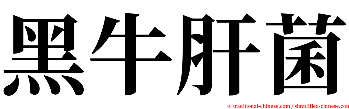 黑牛肝菌 serif font