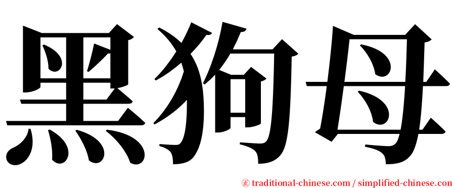 黑狗母 serif font