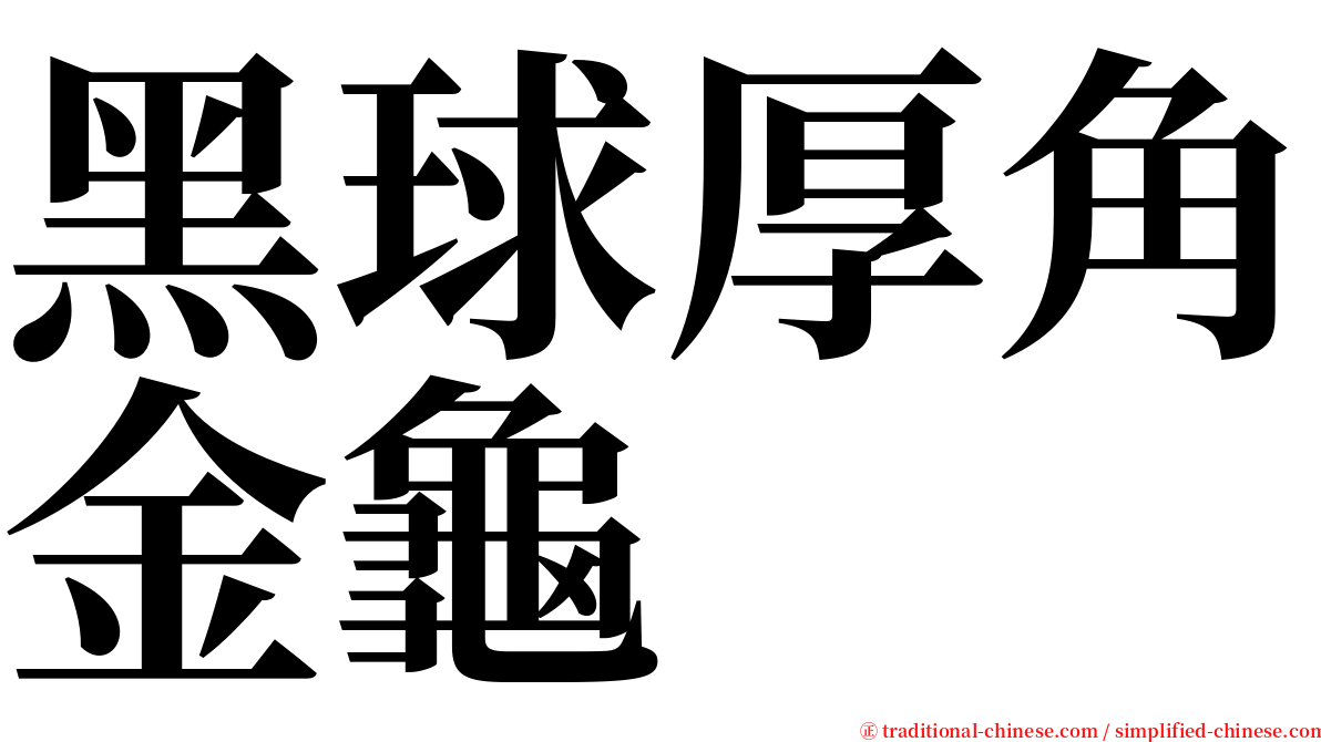 黑球厚角金龜 serif font