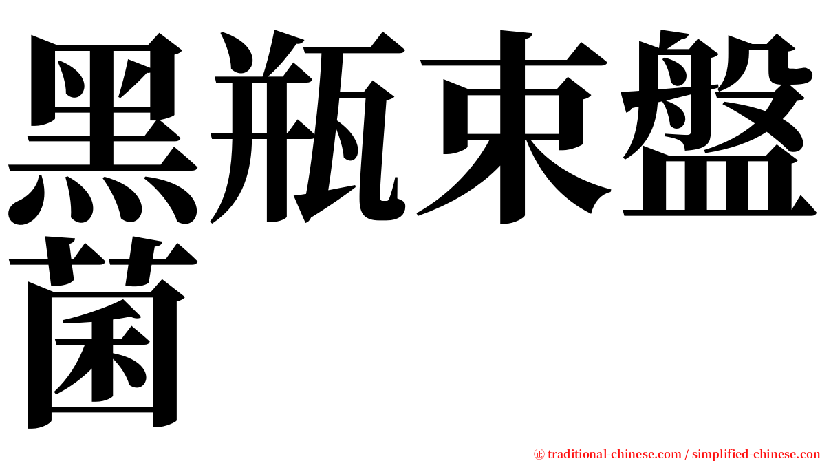 黑瓶束盤菌 serif font