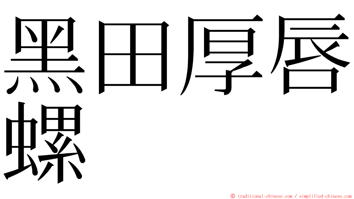 黑田厚唇螺 ming font