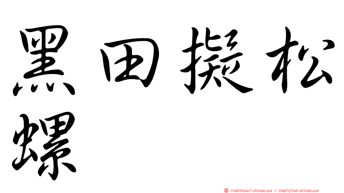 黑田擬松螺