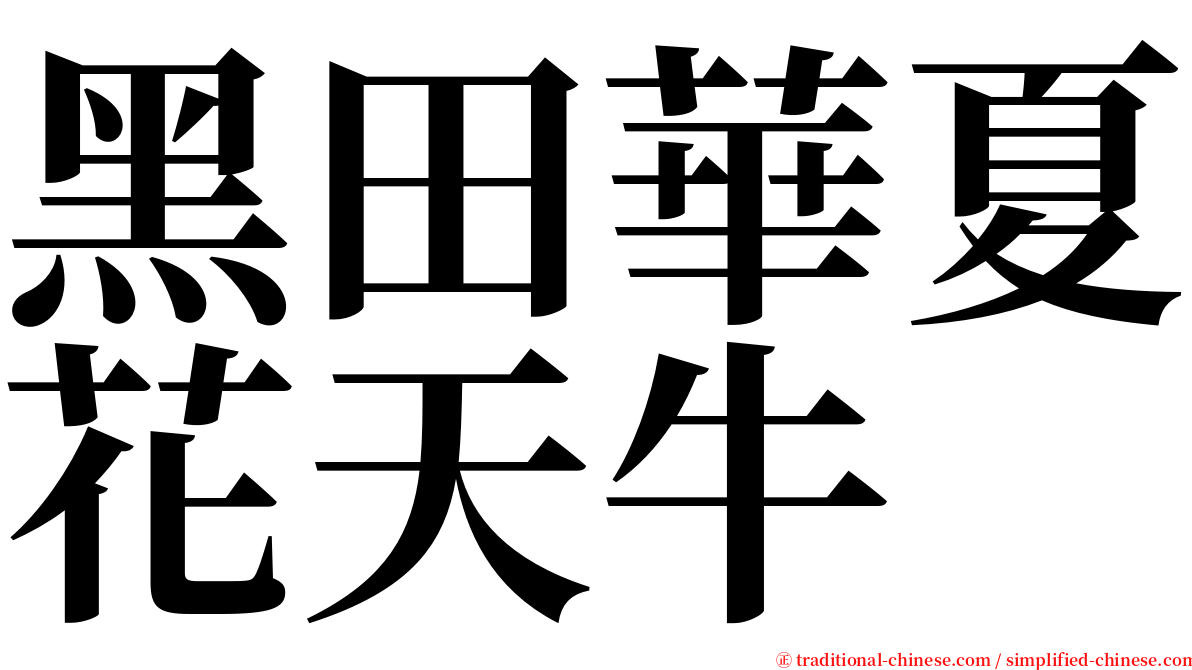 黑田華夏花天牛 serif font