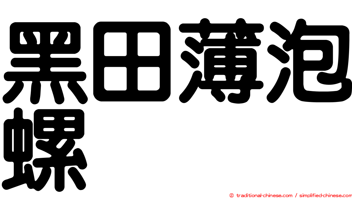 黑田薄泡螺