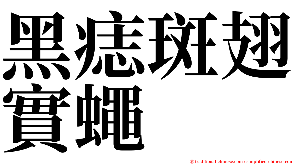 黑痣斑翅實蠅 serif font