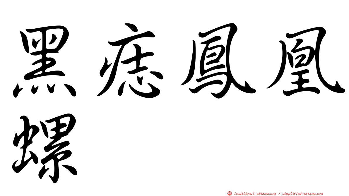 黑痣鳳凰螺