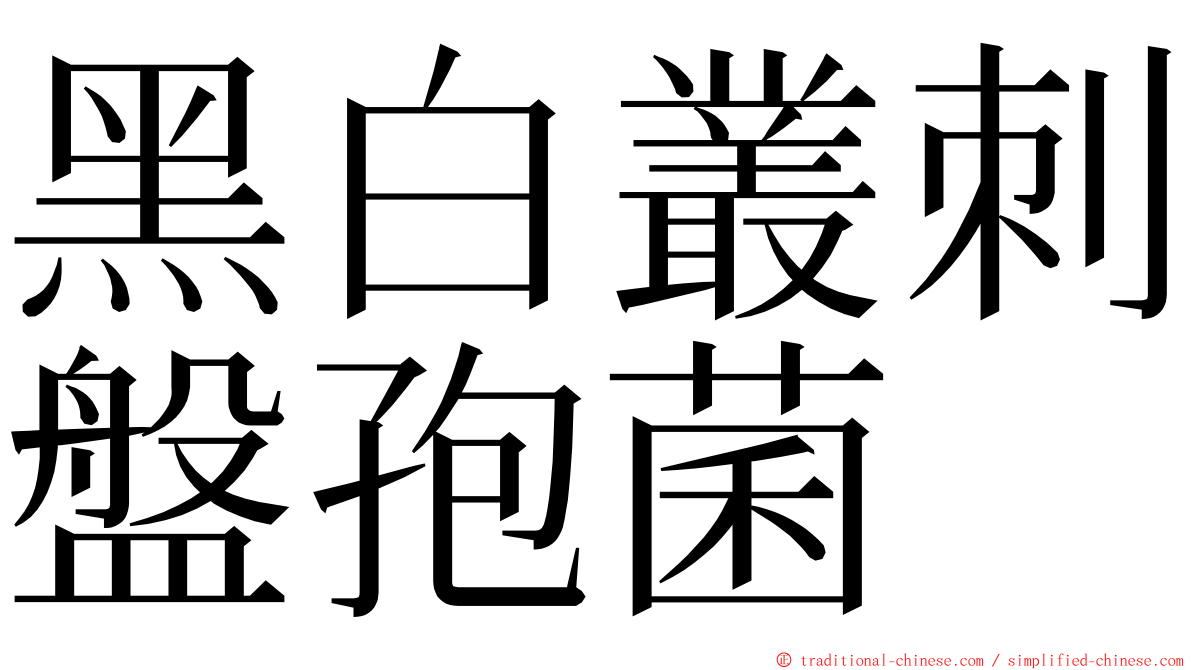 黑白叢刺盤孢菌 ming font