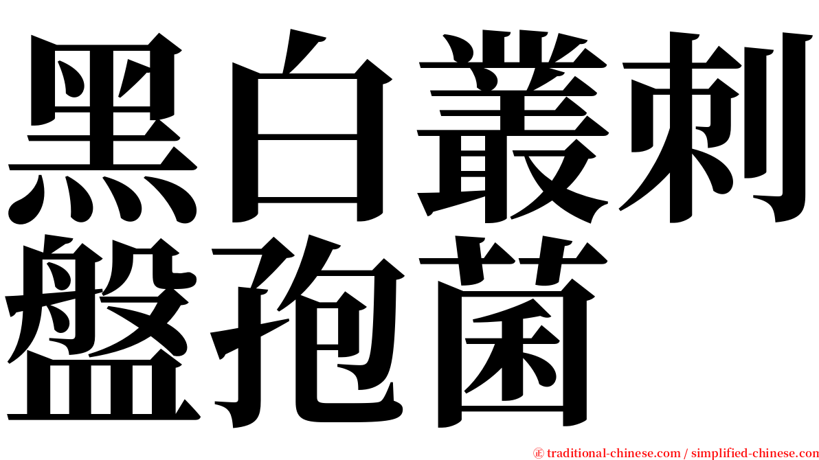 黑白叢刺盤孢菌 serif font