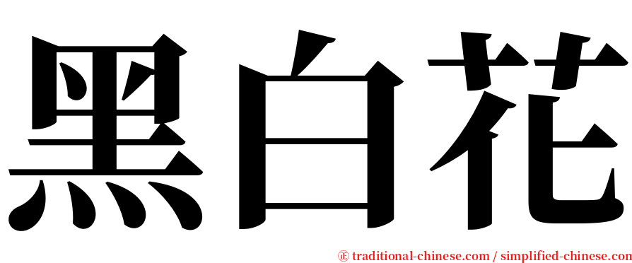 黑白花 serif font