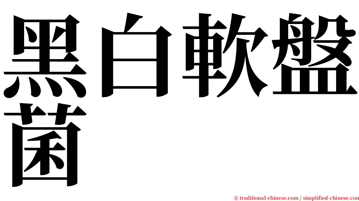 黑白軟盤菌 serif font