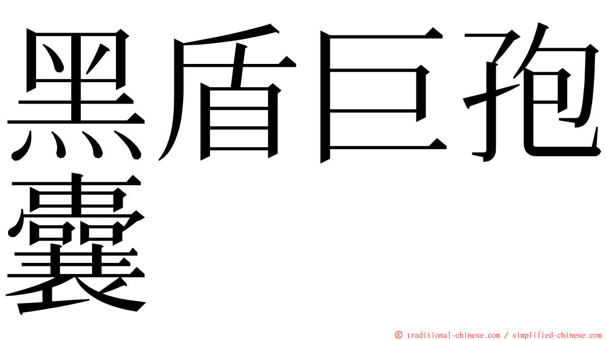 黑盾巨孢囊 ming font