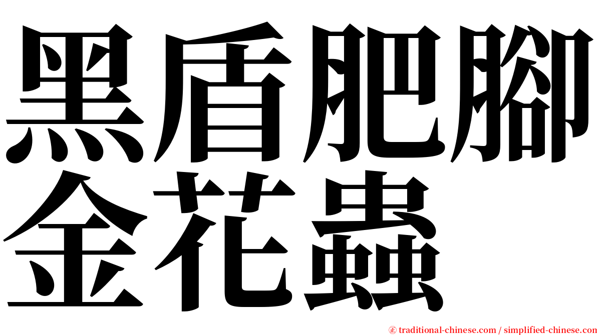 黑盾肥腳金花蟲 serif font