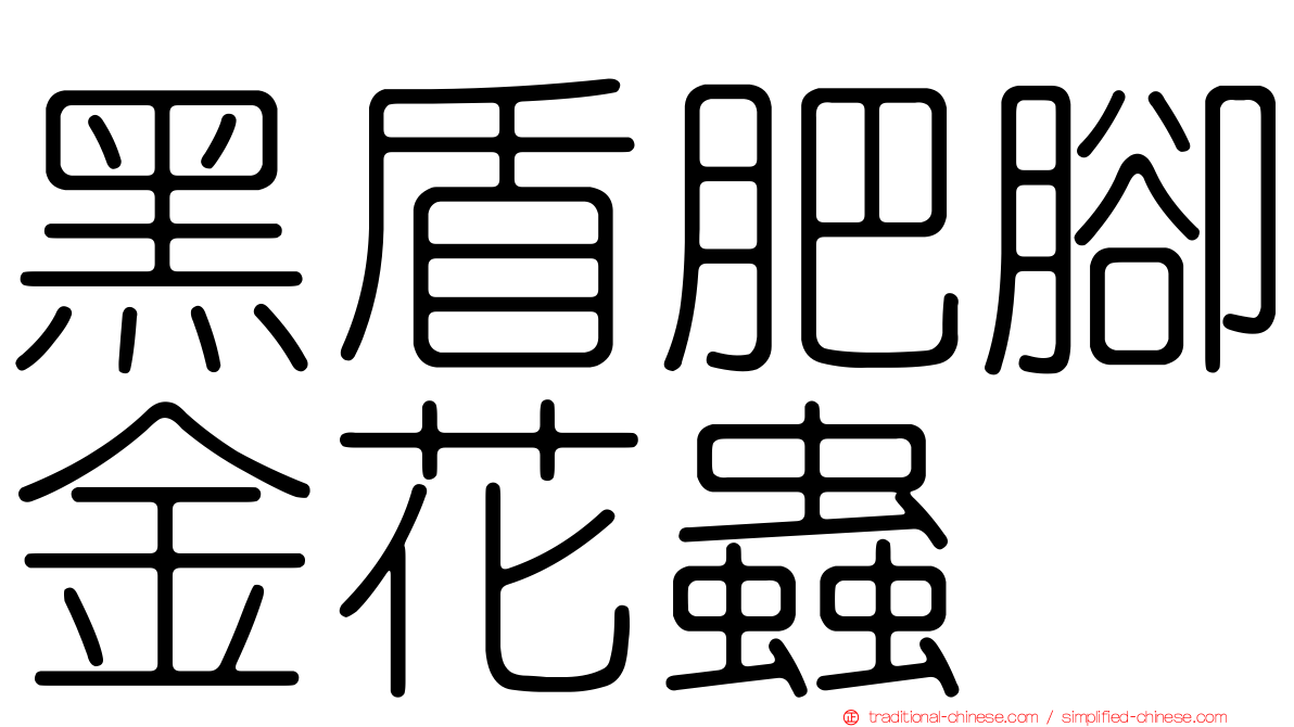 黑盾肥腳金花蟲