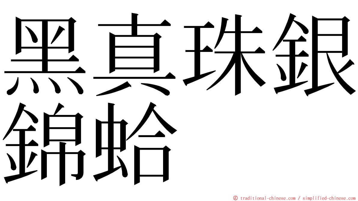 黑真珠銀錦蛤 ming font