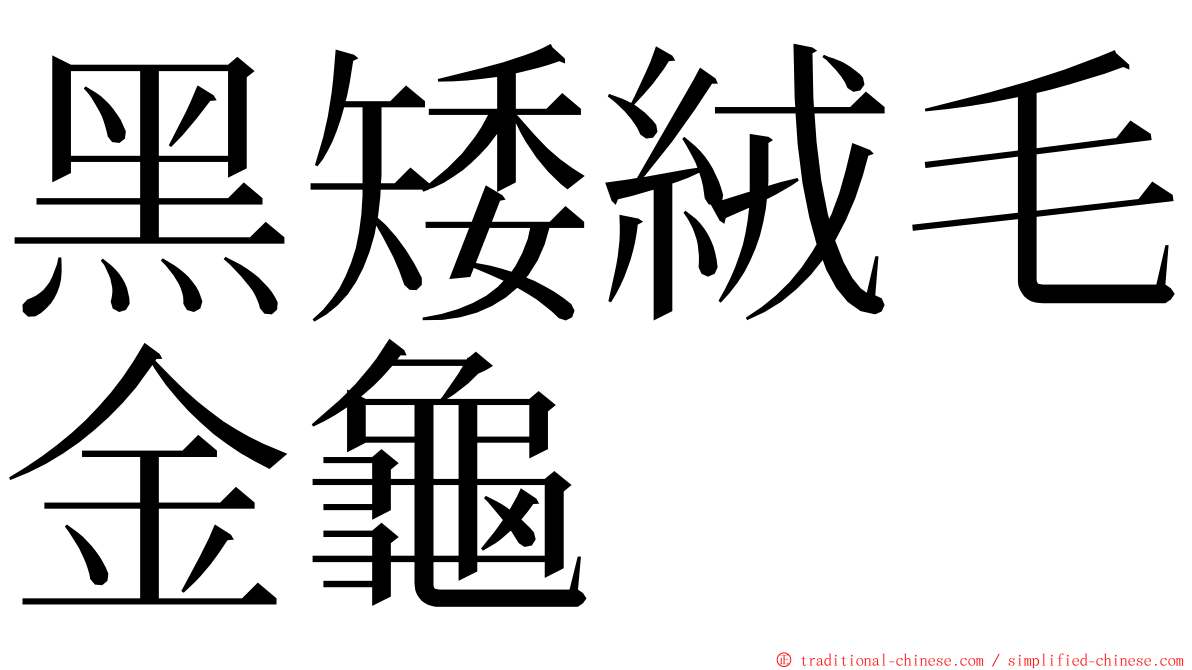 黑矮絨毛金龜 ming font