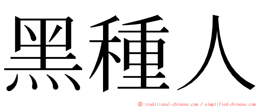 黑種人 ming font