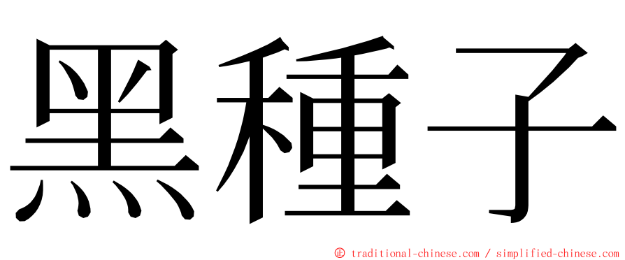 黑種子 ming font