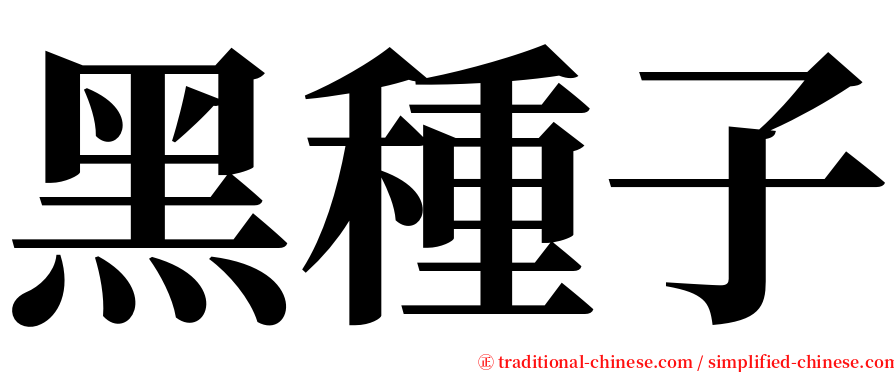 黑種子 serif font