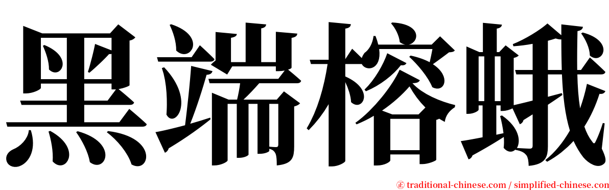 黑端榕蛾 serif font