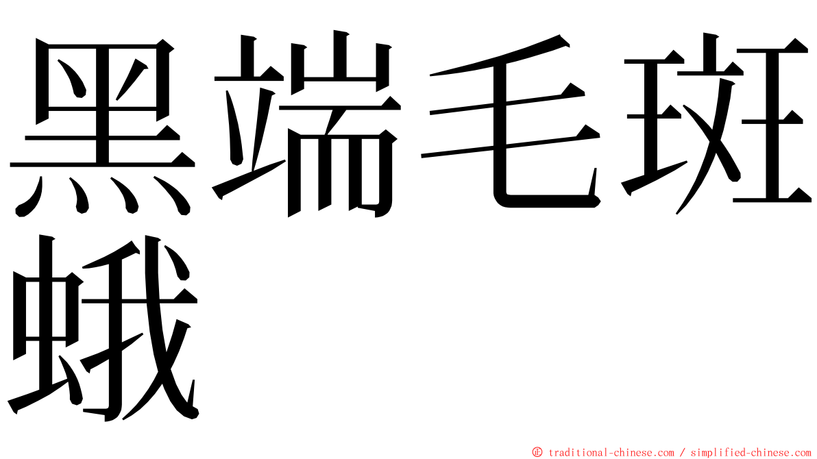 黑端毛斑蛾 ming font