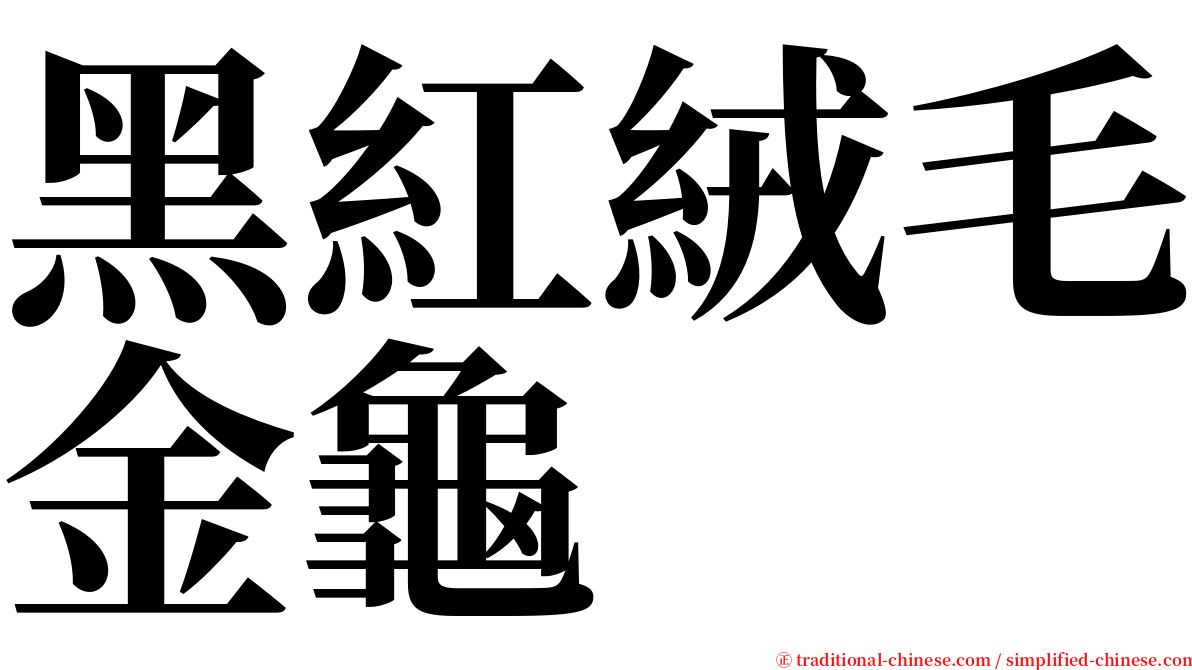 黑紅絨毛金龜 serif font