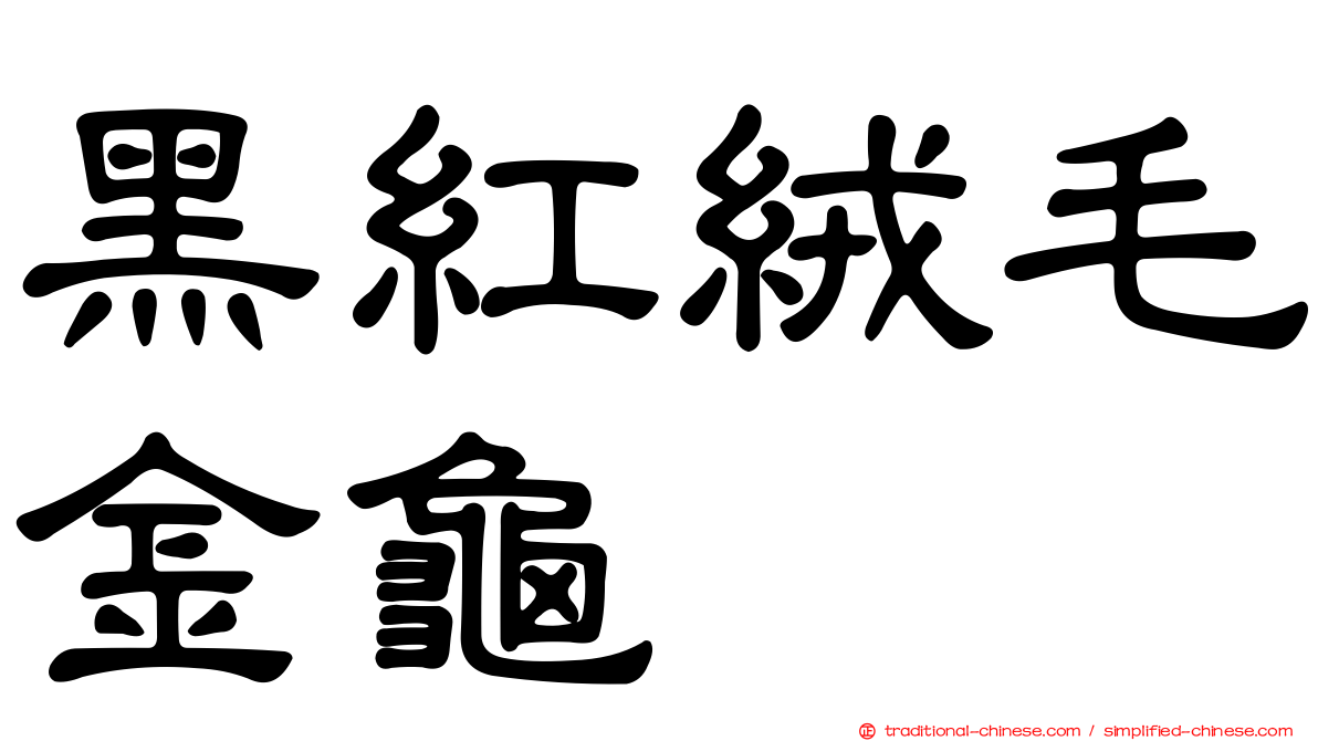 黑紅絨毛金龜