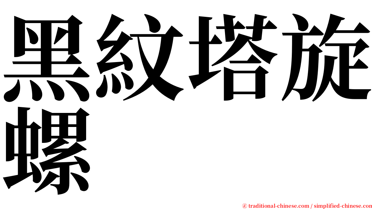 黑紋塔旋螺 serif font