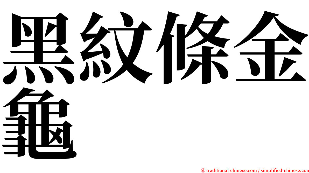 黑紋條金龜 serif font