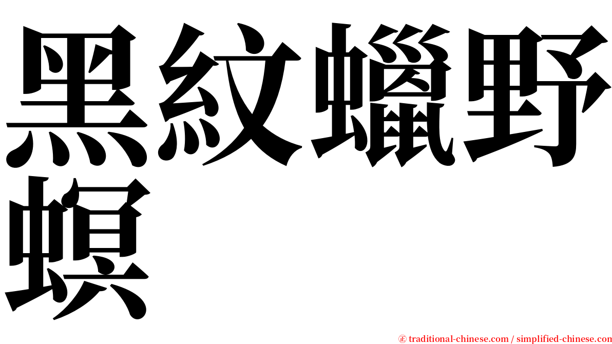 黑紋蠟野螟 serif font