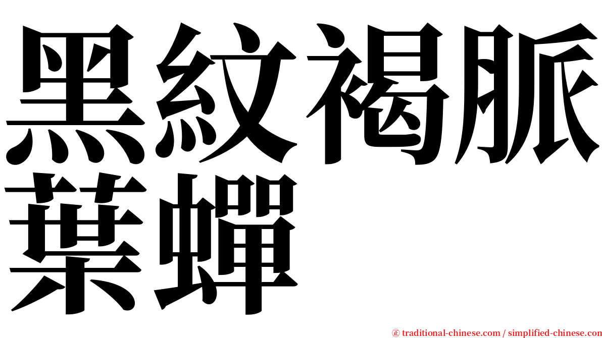 黑紋褐脈葉蟬 serif font