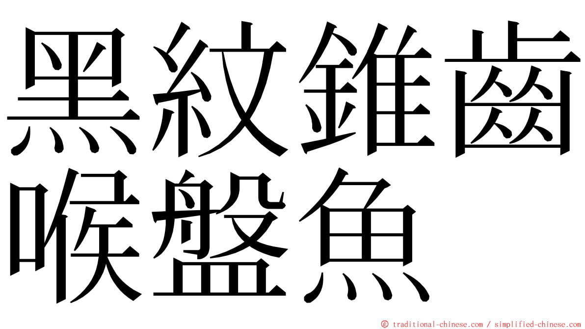 黑紋錐齒喉盤魚 ming font