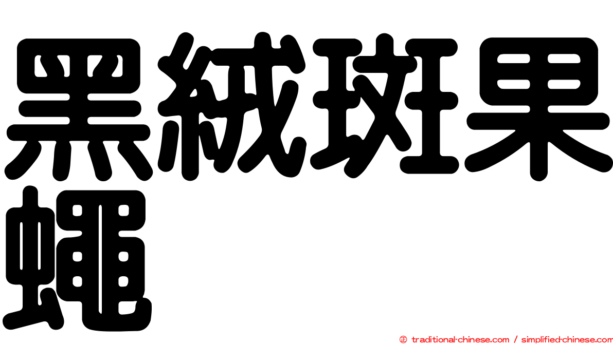 黑絨斑果蠅