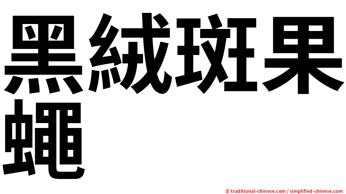 黑絨斑果蠅