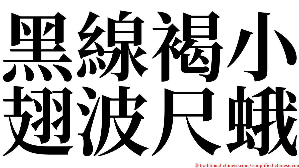 黑線褐小翅波尺蛾 serif font