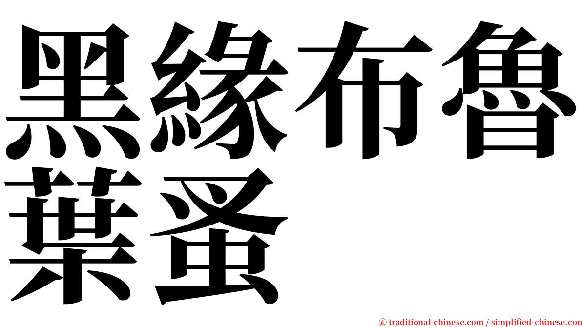 黑緣布魯葉蚤 serif font