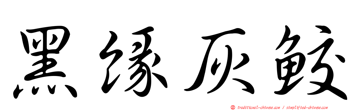 黑緣灰鮫