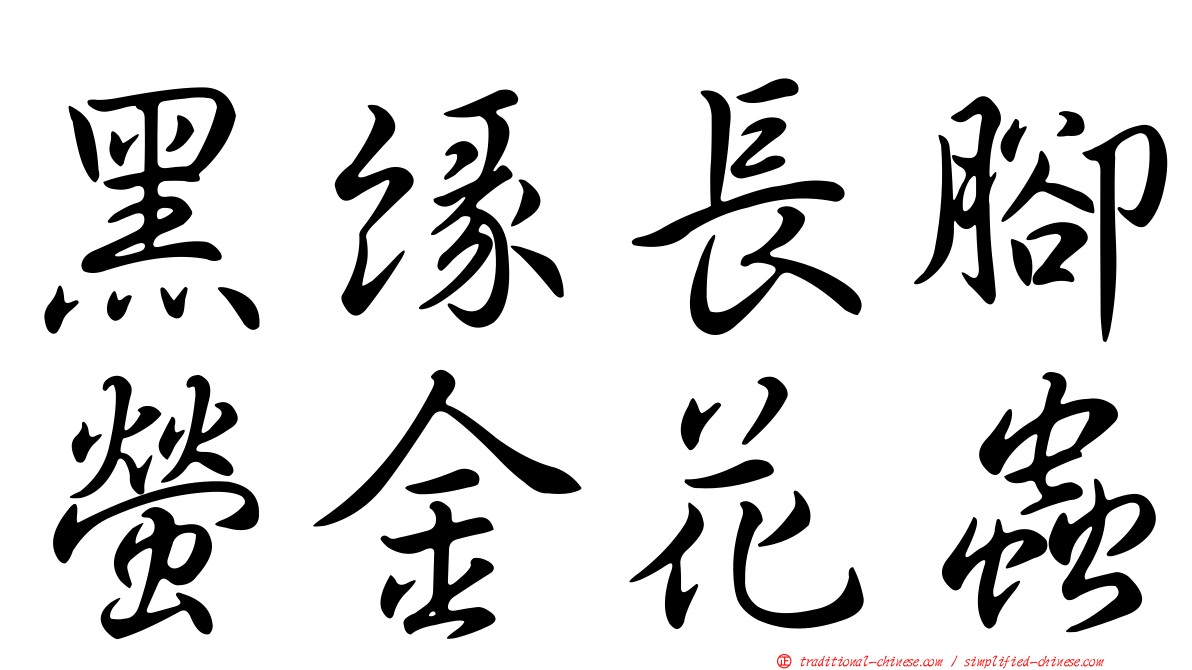 黑緣長腳螢金花蟲