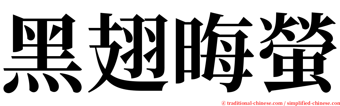 黑翅晦螢 serif font