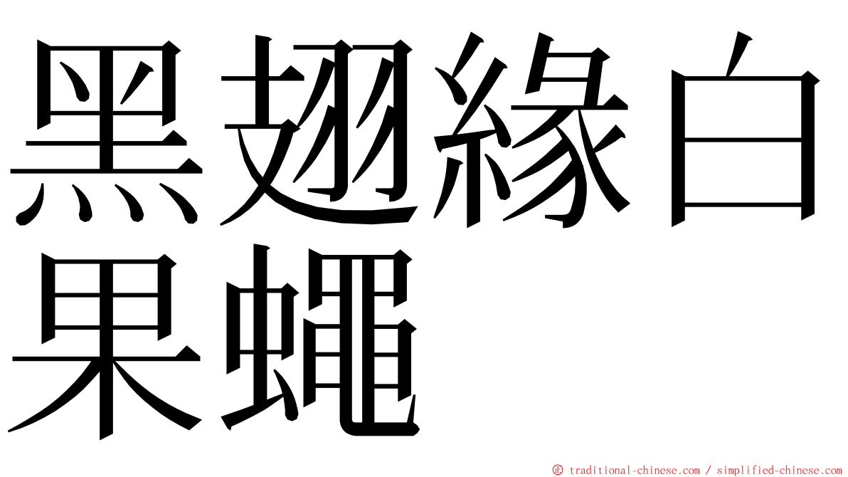 黑翅緣白果蠅 ming font