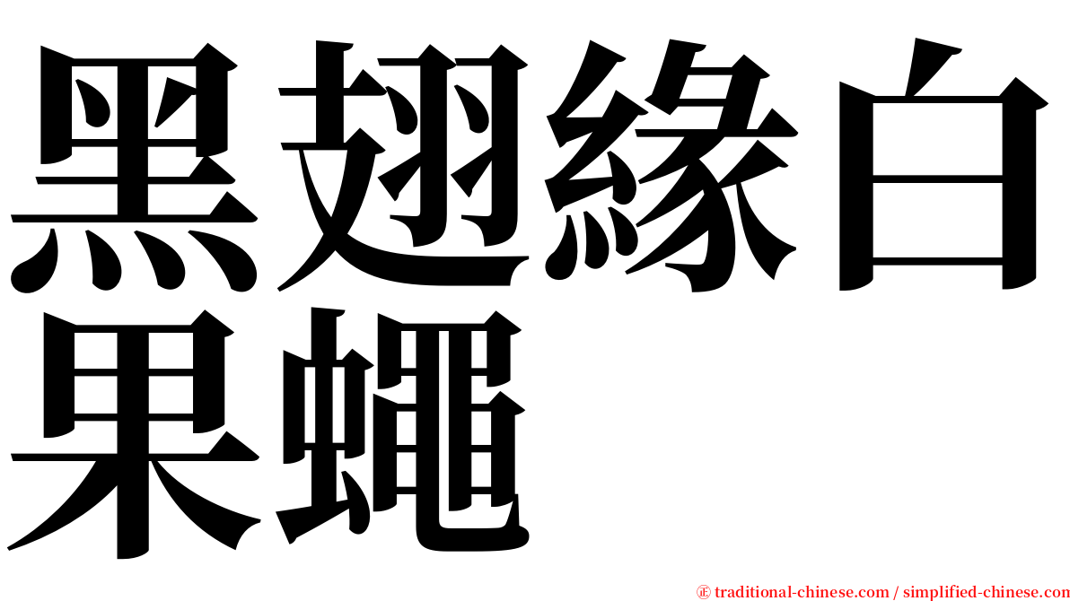 黑翅緣白果蠅 serif font