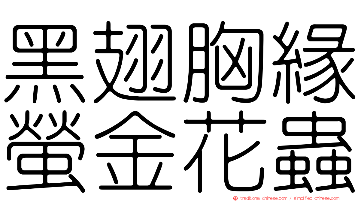 黑翅胸緣螢金花蟲