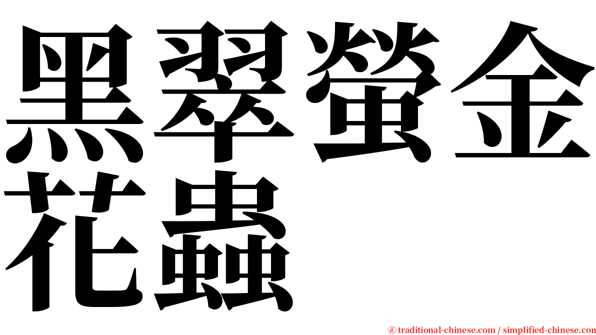 黑翠螢金花蟲 serif font