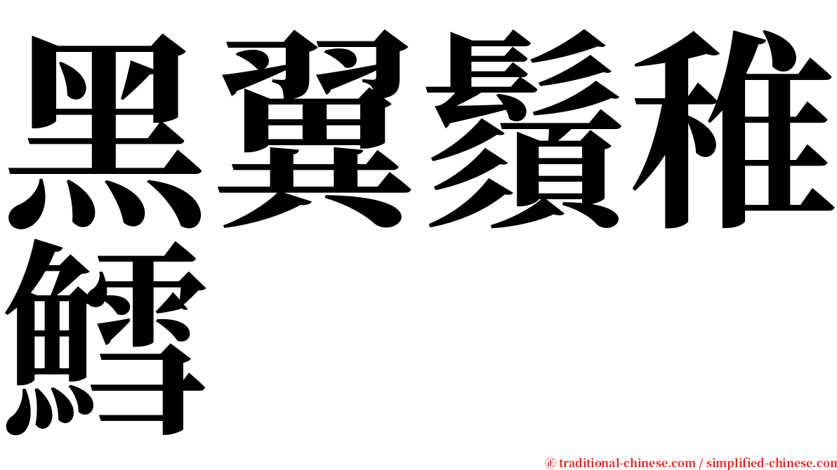 黑翼鬚稚鱈 serif font