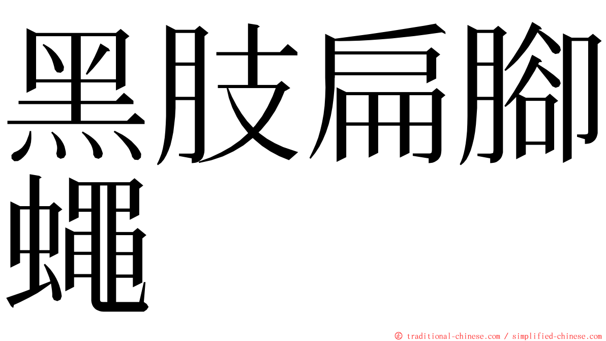 黑肢扁腳蠅 ming font