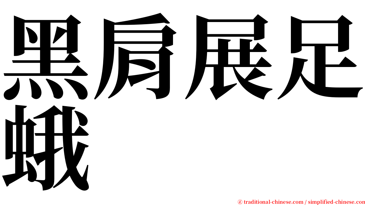 黑肩展足蛾 serif font