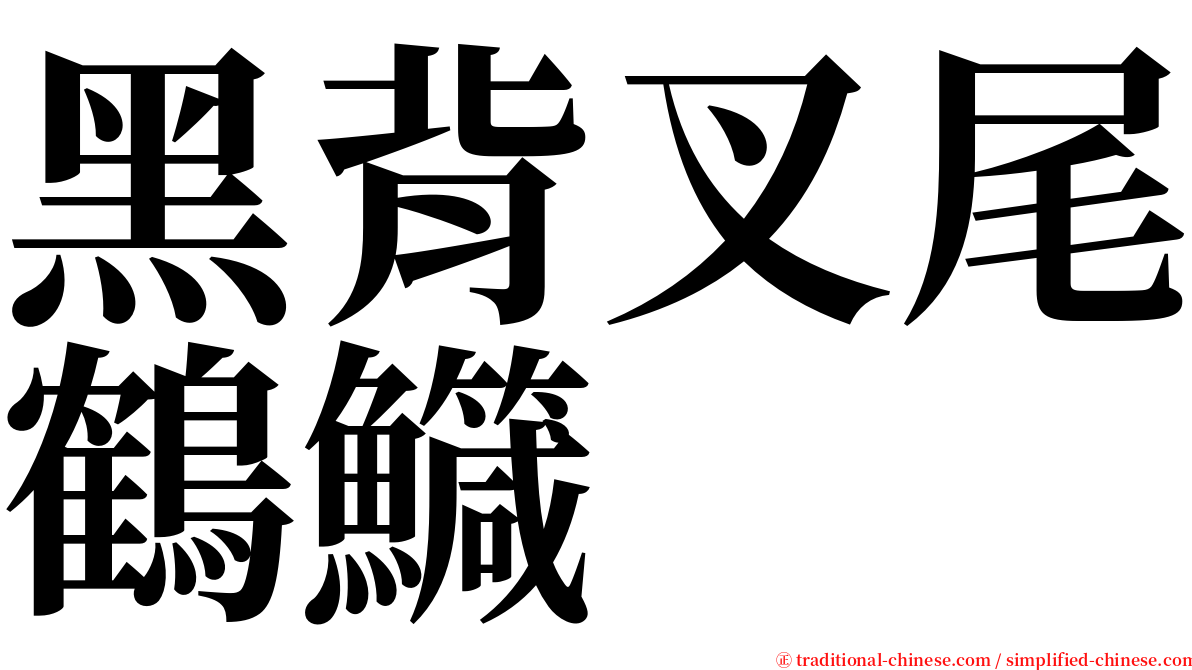 黑背叉尾鶴鱵 serif font