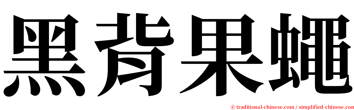 黑背果蠅 serif font