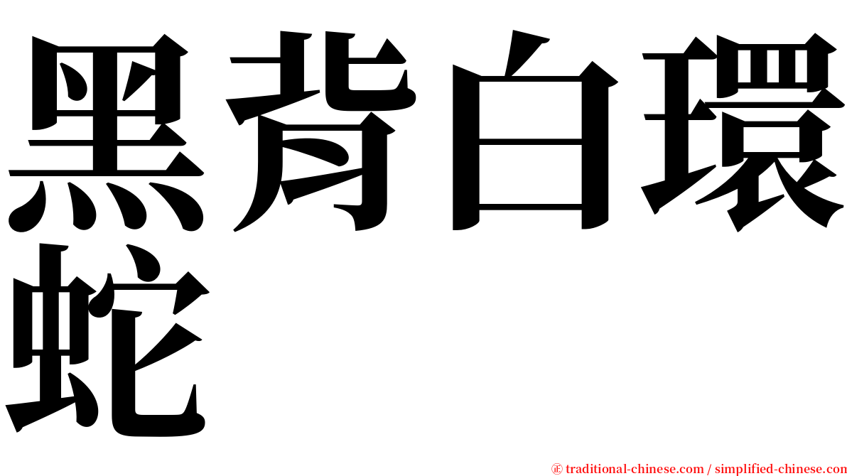 黑背白環蛇 serif font